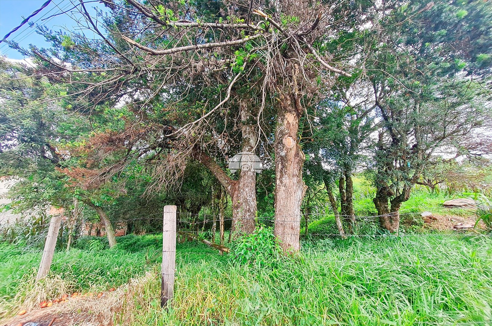 Terreno/Área à venda em Rio Pequeno, São José dos Pinhais — Portal Chave Fácil