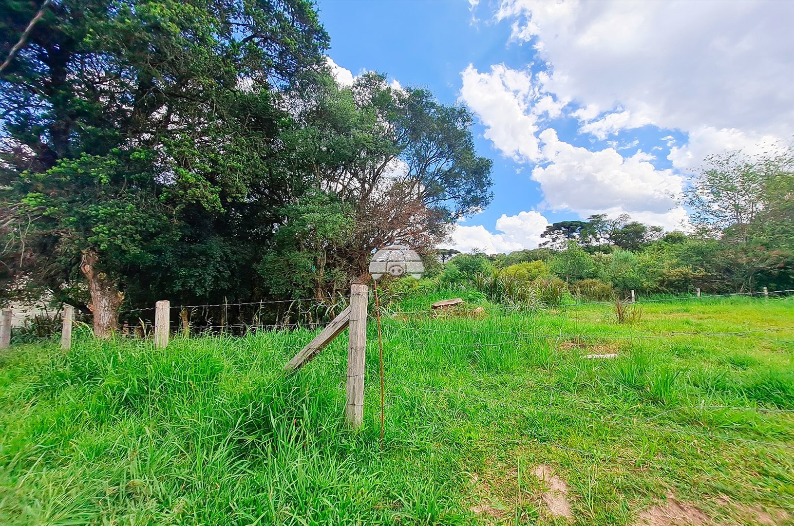 Terreno/Área à venda em Rio Pequeno, São José dos Pinhais — Portal Chave Fácil