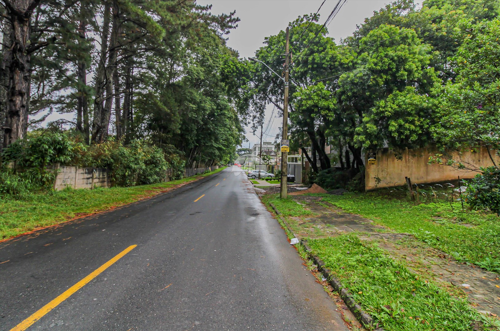 Terreno/Área para alugar em Santa Felicidade, Curitiba — Portal Chave Fácil