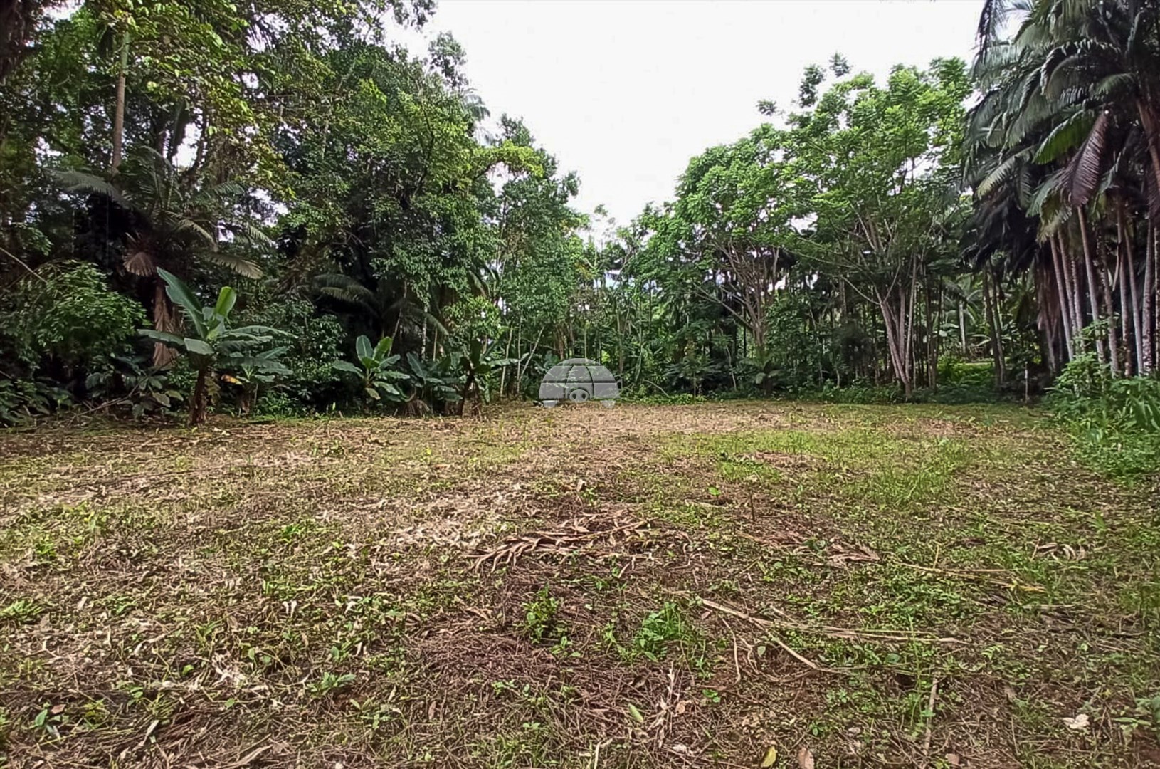 Terreno/Área à venda em Centro, Morretes — Portal Chave Fácil