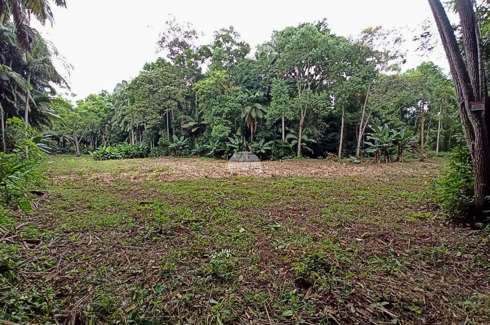Terreno/Área à venda em Centro, Morretes — Portal Chave Fácil