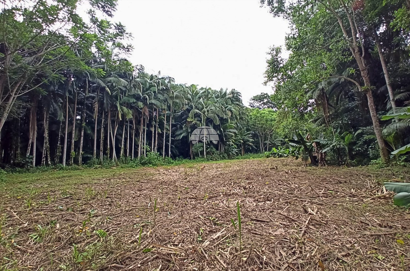 Terreno/Área à venda em Centro, Morretes — Portal Chave Fácil