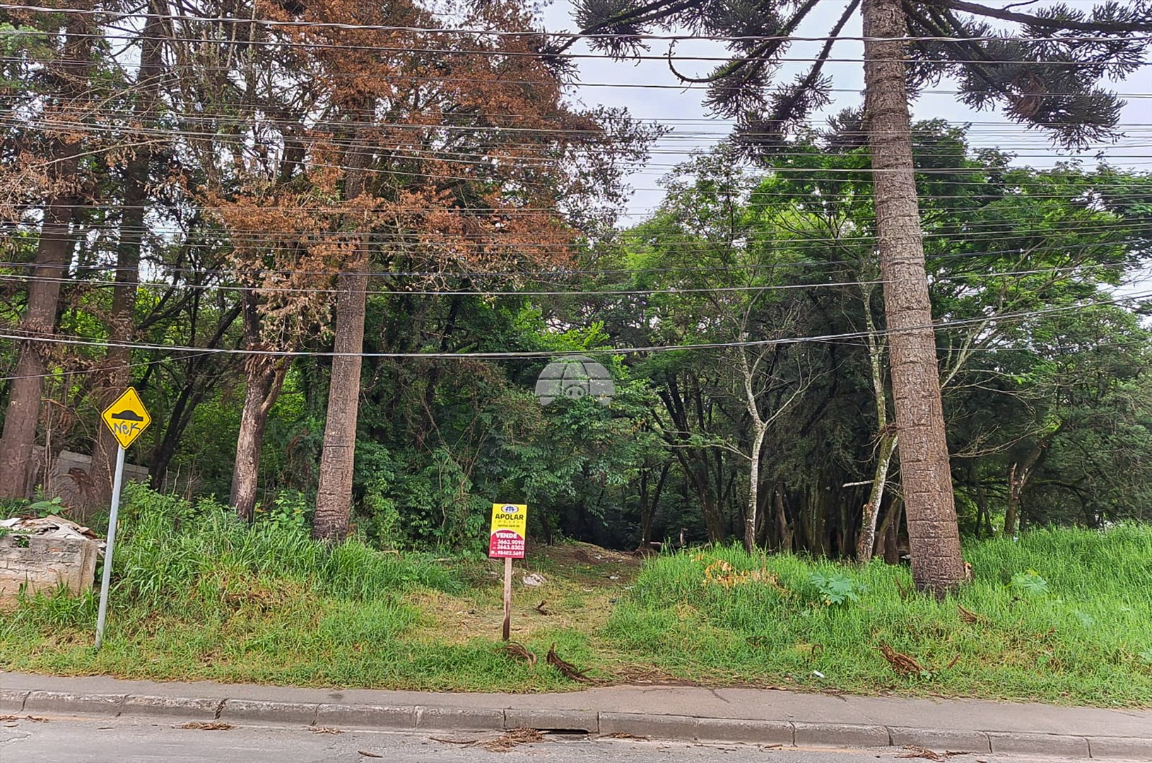 Terreno/Área à venda em Jardim Itália, Colombo — Portal Chave Fácil