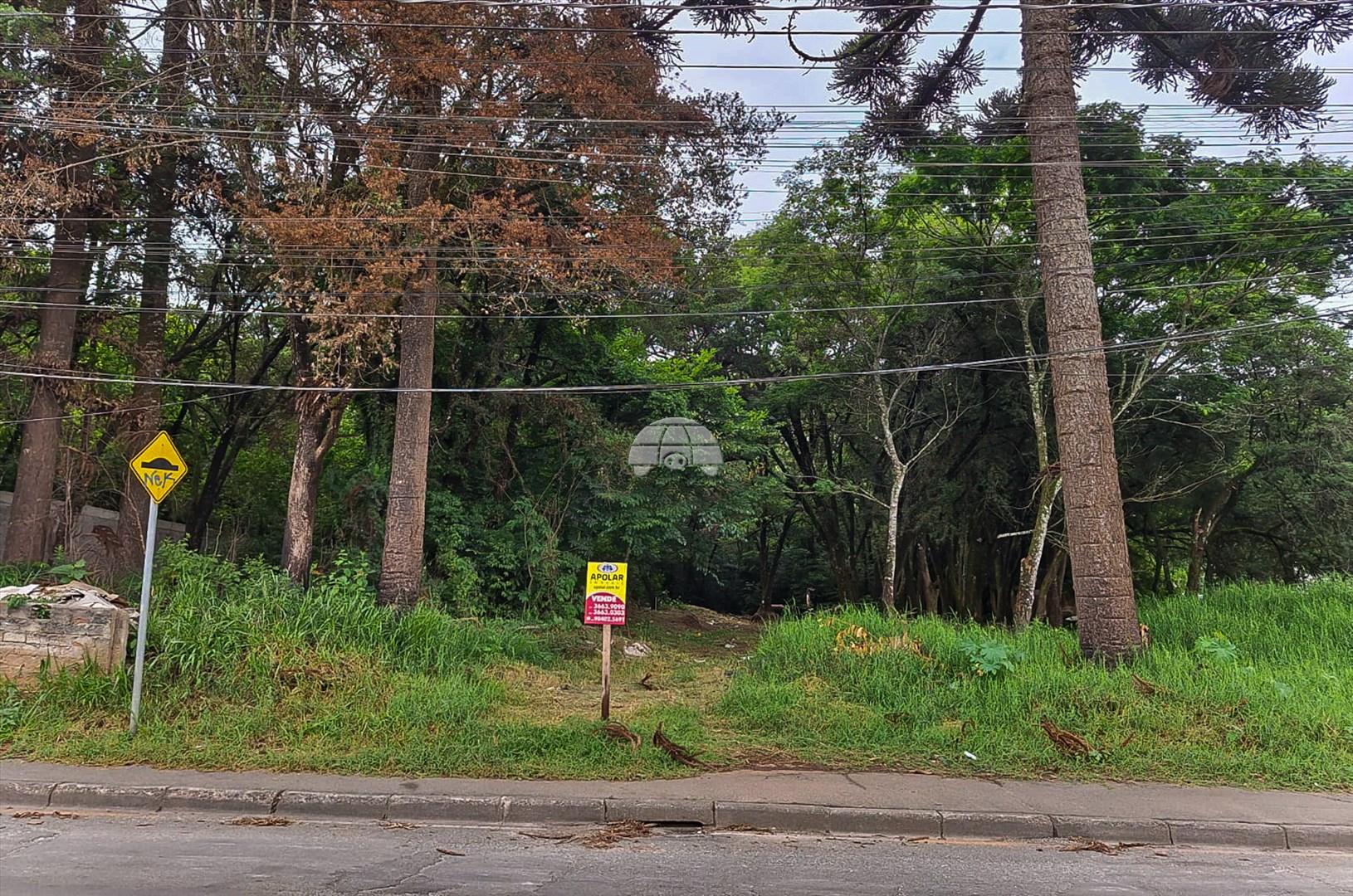 Terreno/Área à venda em Jardim Itália, Colombo — Portal Chave Fácil