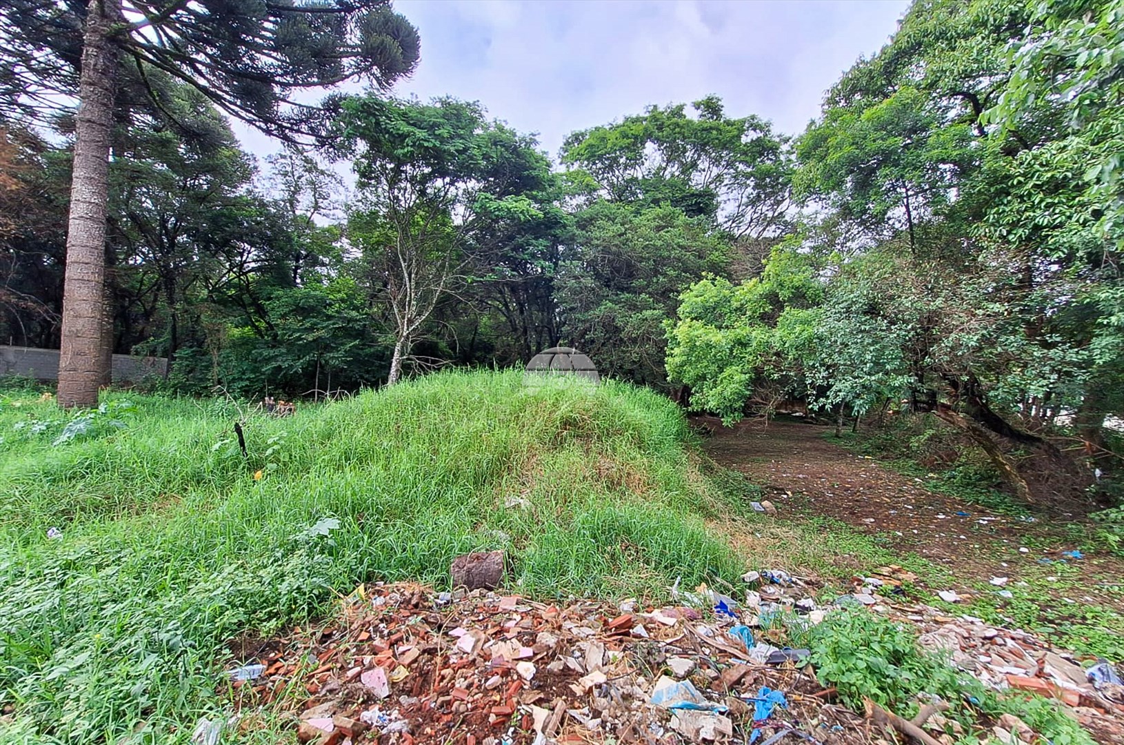Terreno/Área à venda em Jardim Itália, Colombo — Portal Chave Fácil