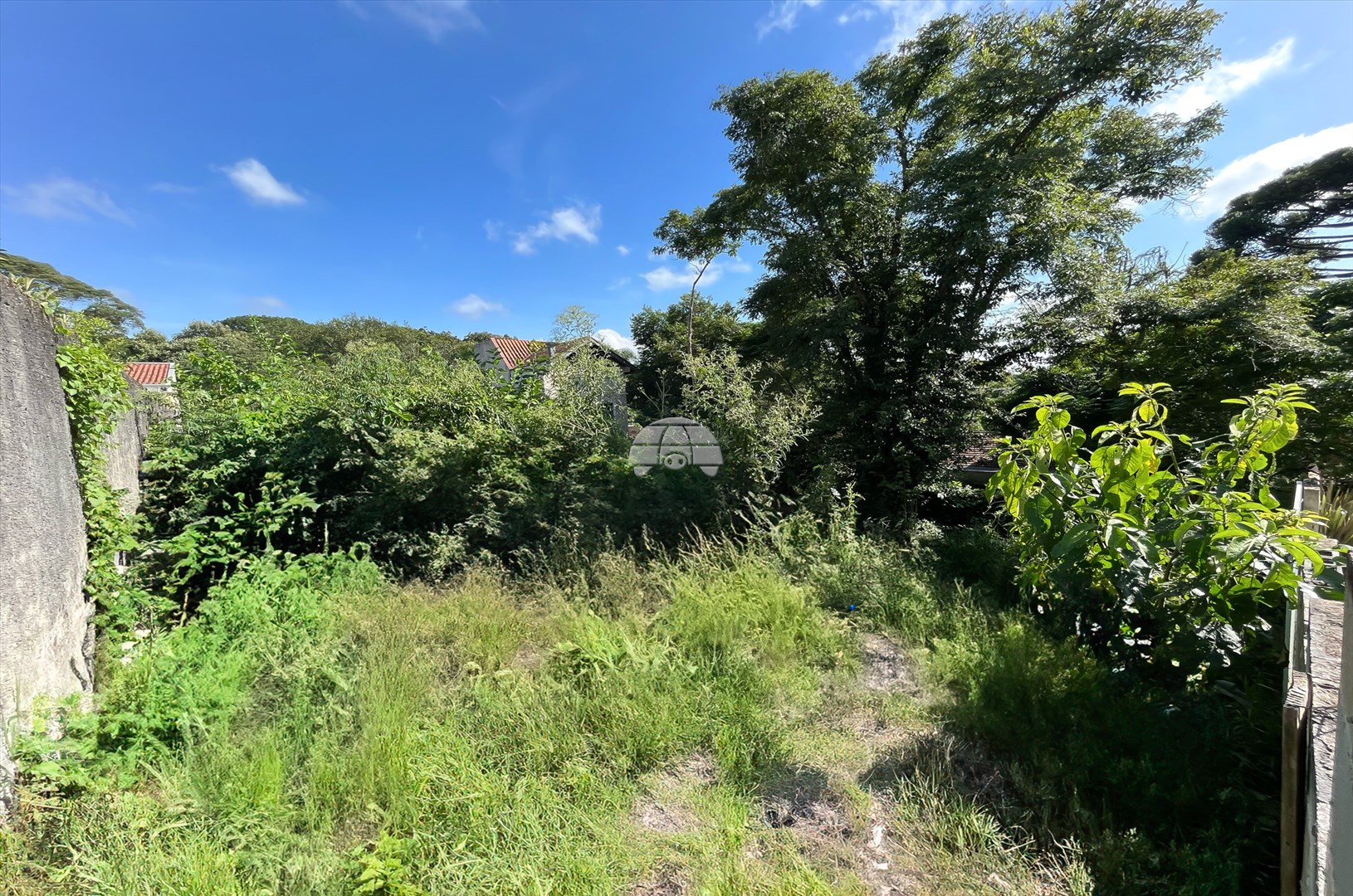 Terreno/Área para alugar em Loteamento Montparnasse, Almirante Tamandaré — Portal Chave Fácil