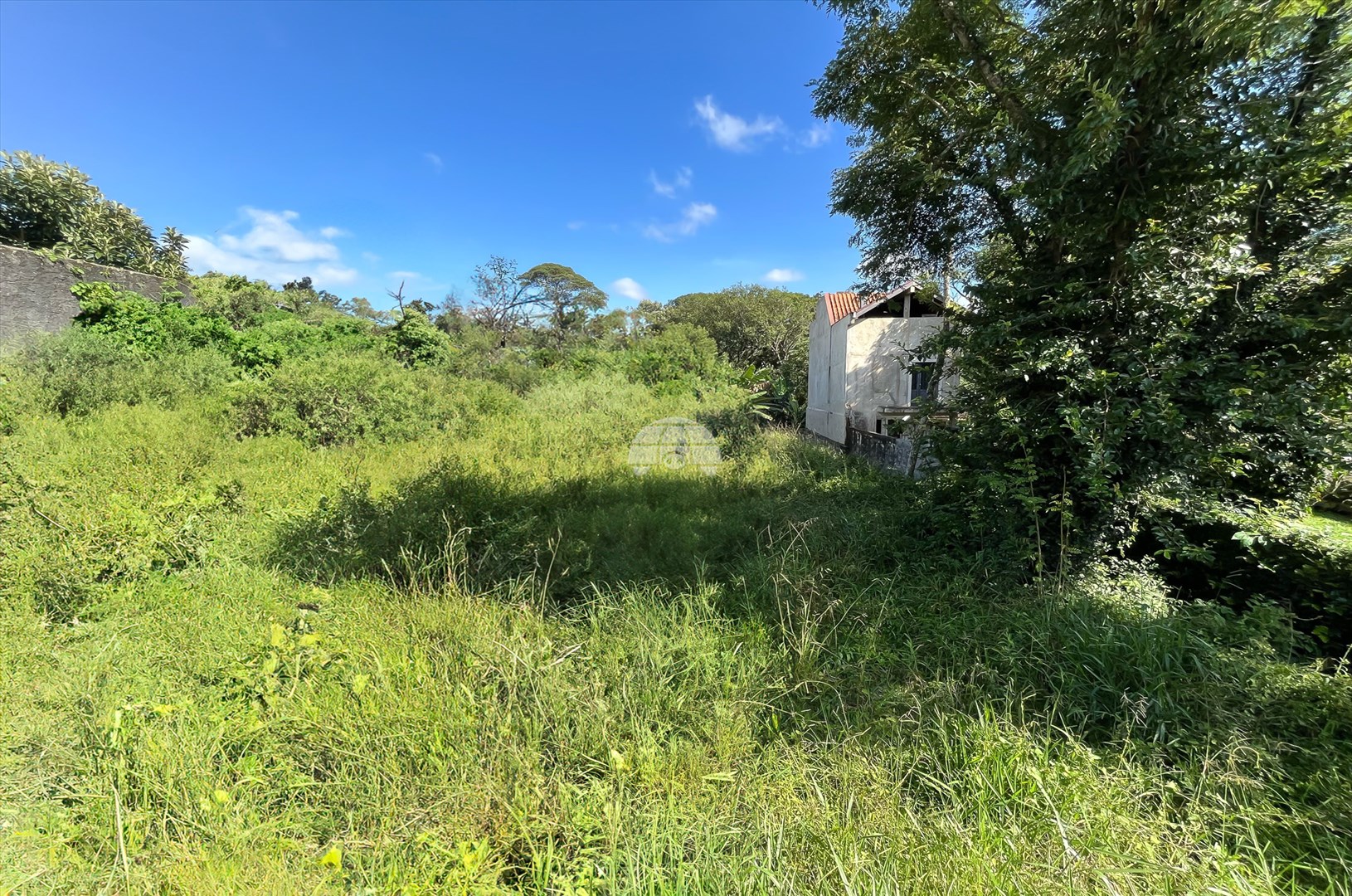 Terreno/Área para alugar em Loteamento Montparnasse, Almirante Tamandaré — Portal Chave Fácil