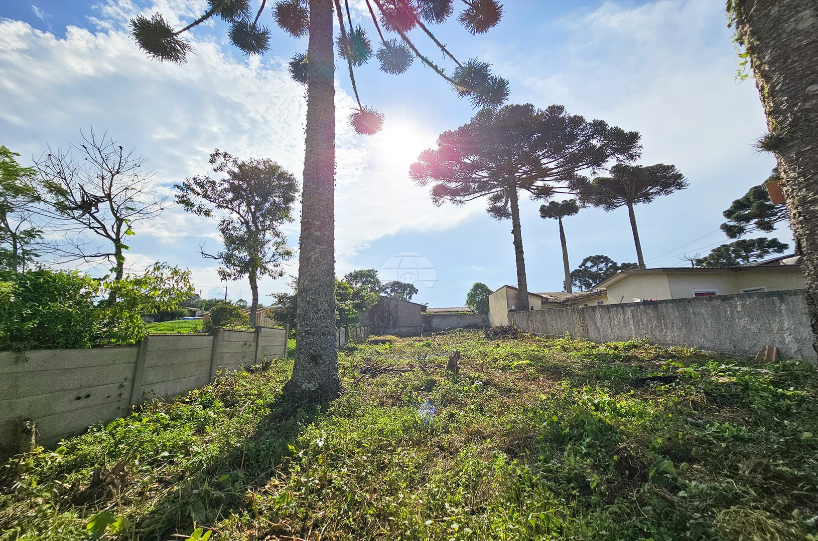 Terreno/Área à venda em São Sebastião, São José dos Pinhais — Portal Chave Fácil