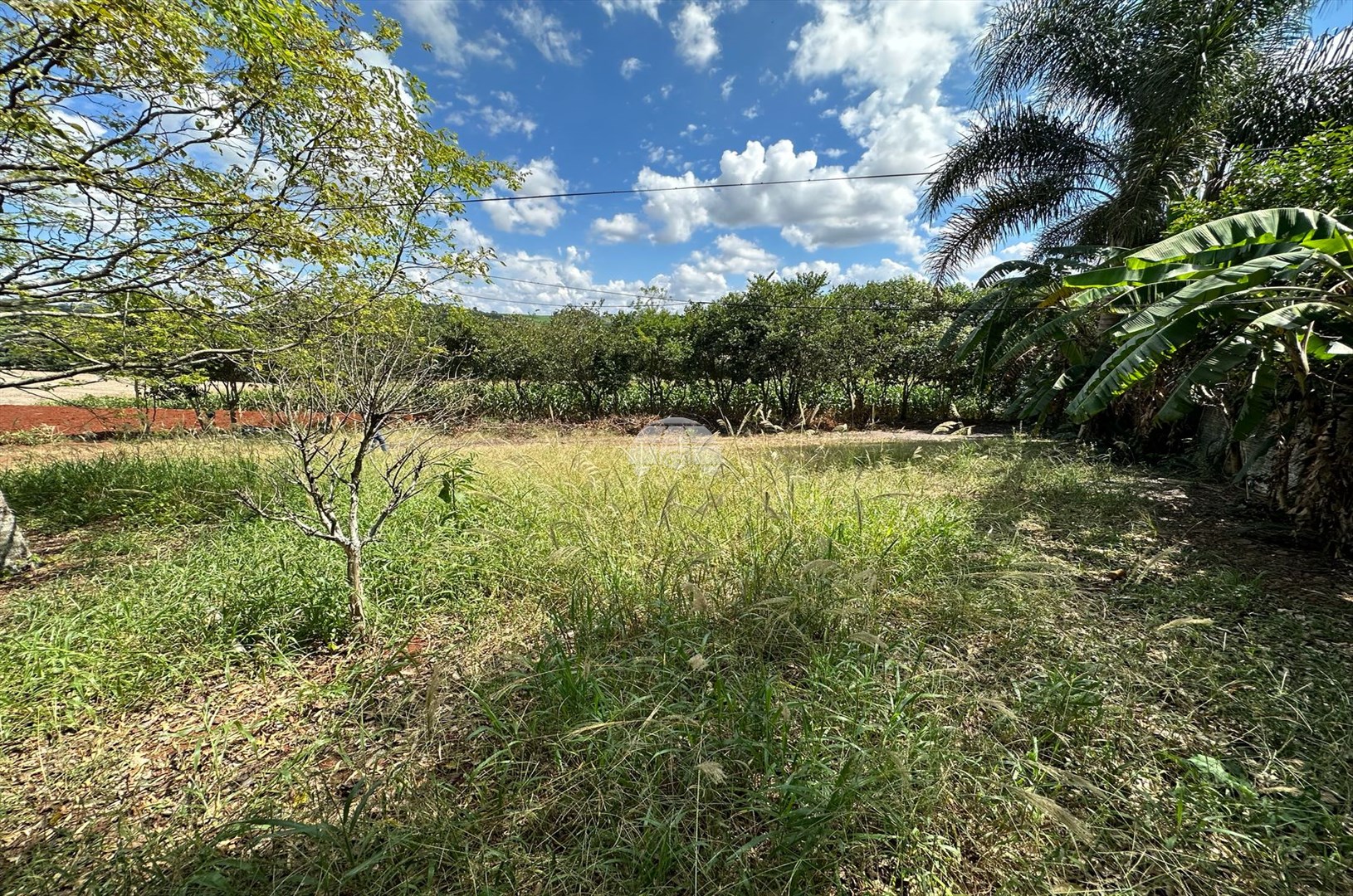 Terreno/Área à venda em Zona Rural, Pato Branco — Portal Chave Fácil