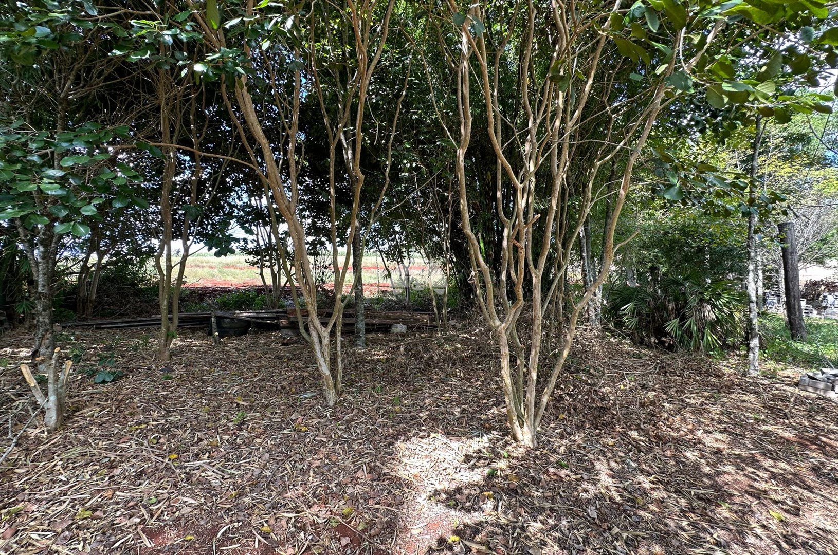Terreno/Área à venda em Zona Rural, Pato Branco — Portal Chave Fácil
