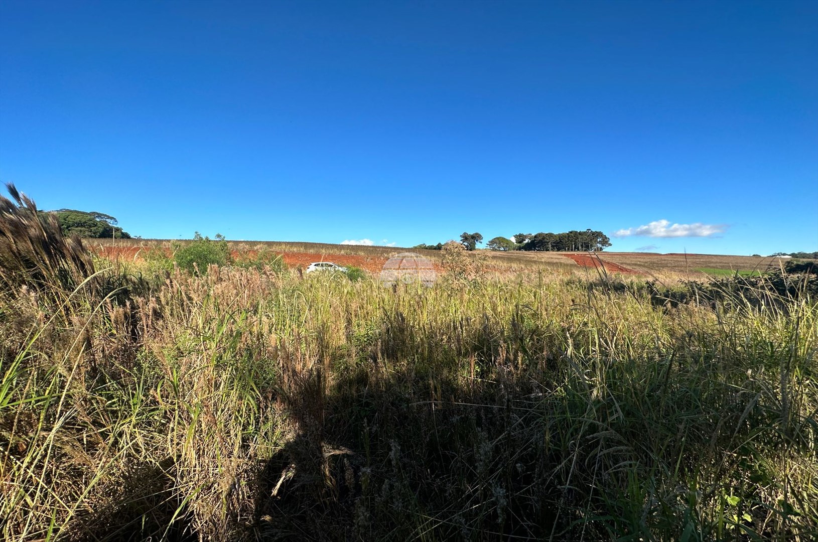 Terreno/Área à venda em Pagnoncelli, Pato Branco — Portal Chave Fácil