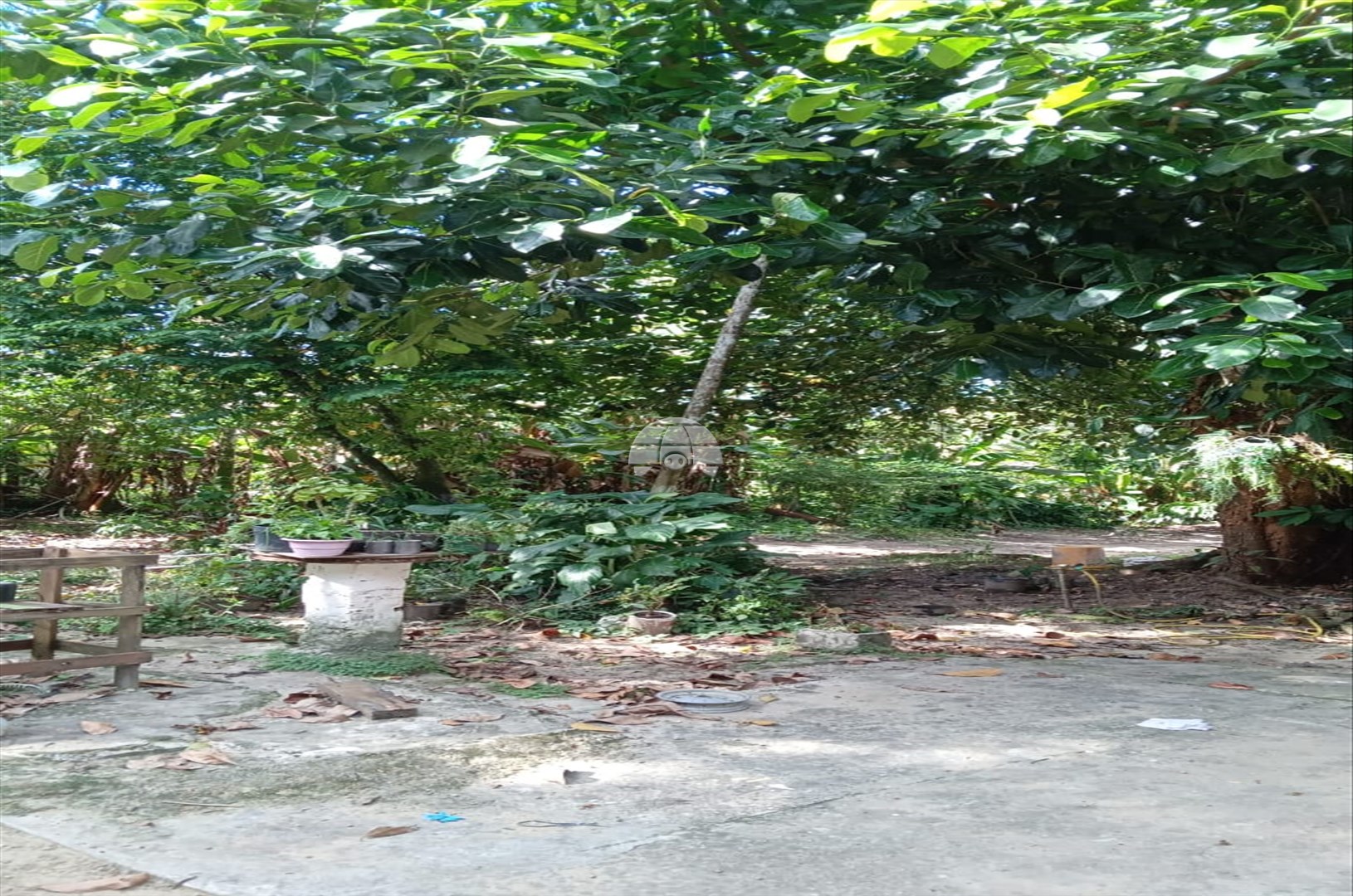 Casa à venda em Itapema, Antonina — Portal Chave Fácil