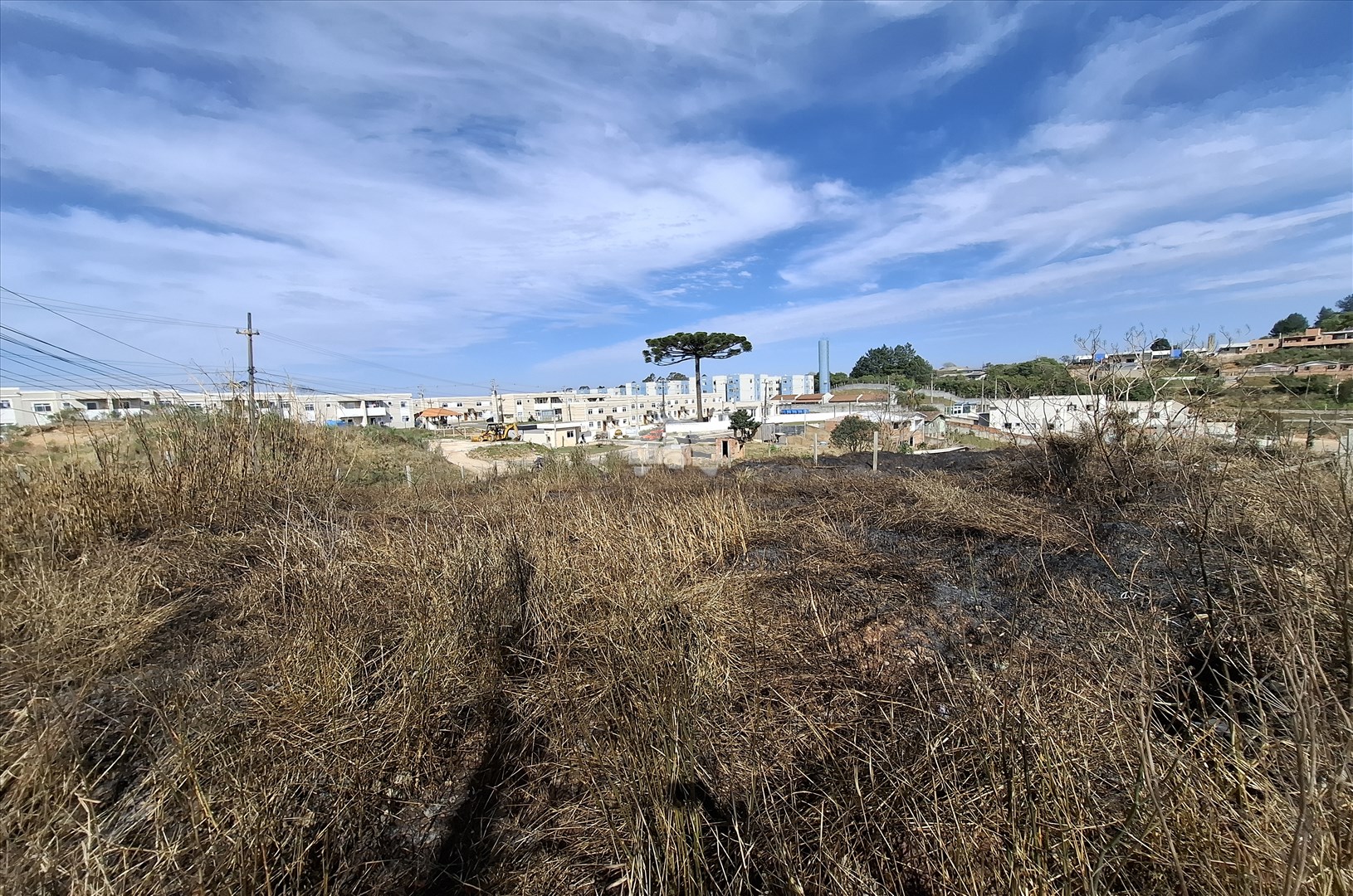 Terreno/Área para alugar em Jardim Campo Verde, Almirante Tamandaré — Portal Chave Fácil