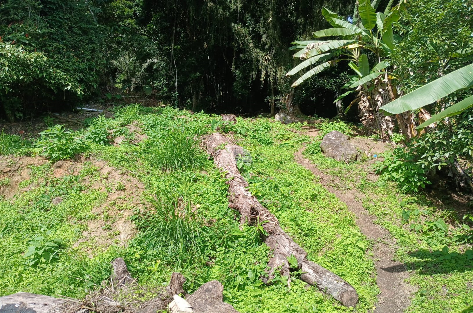 Terreno/Área à venda em Portinho De Cima, Antonina — Portal Chave Fácil