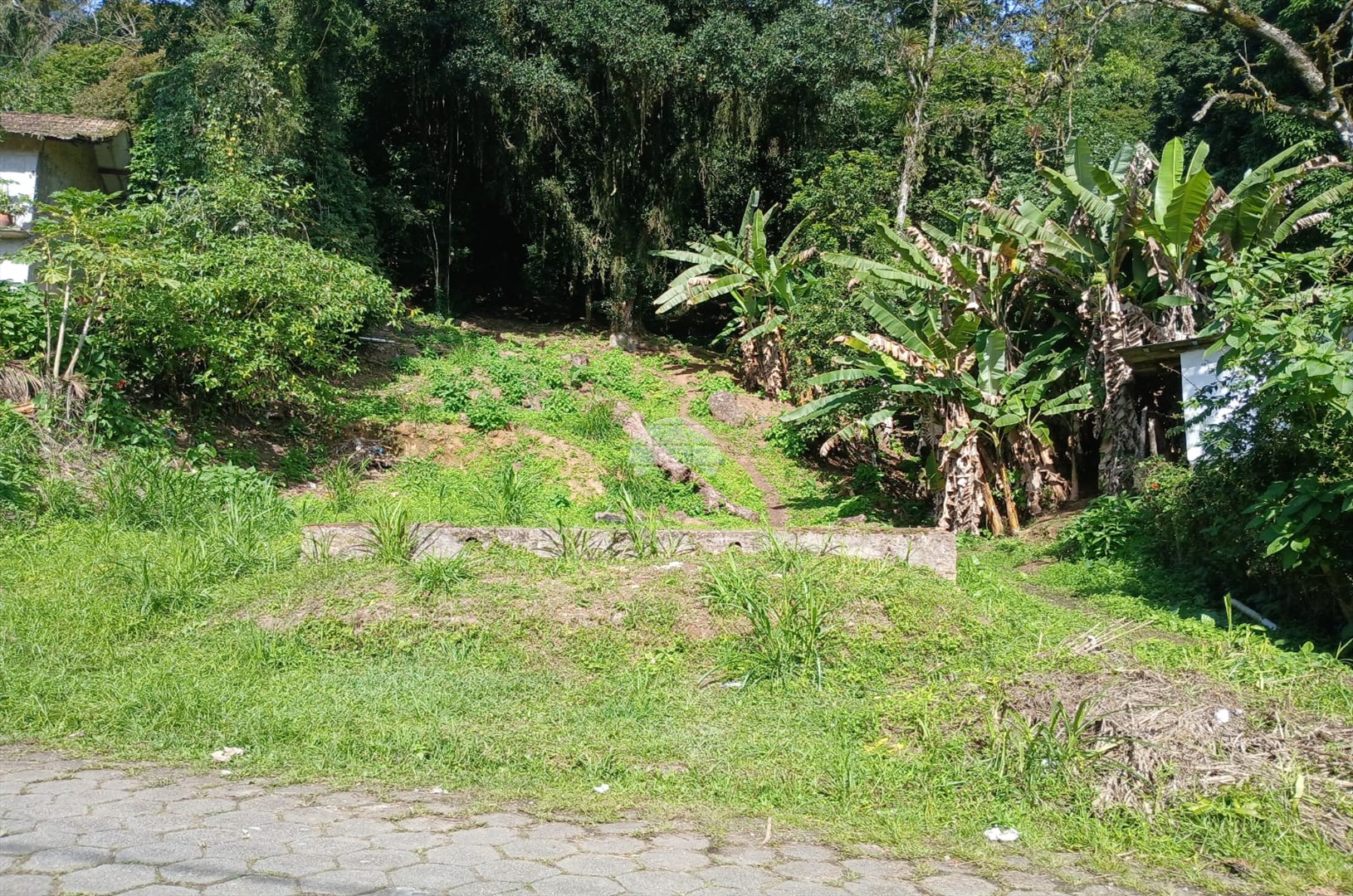 Terreno/Área à venda em Portinho De Cima, Antonina — Portal Chave Fácil