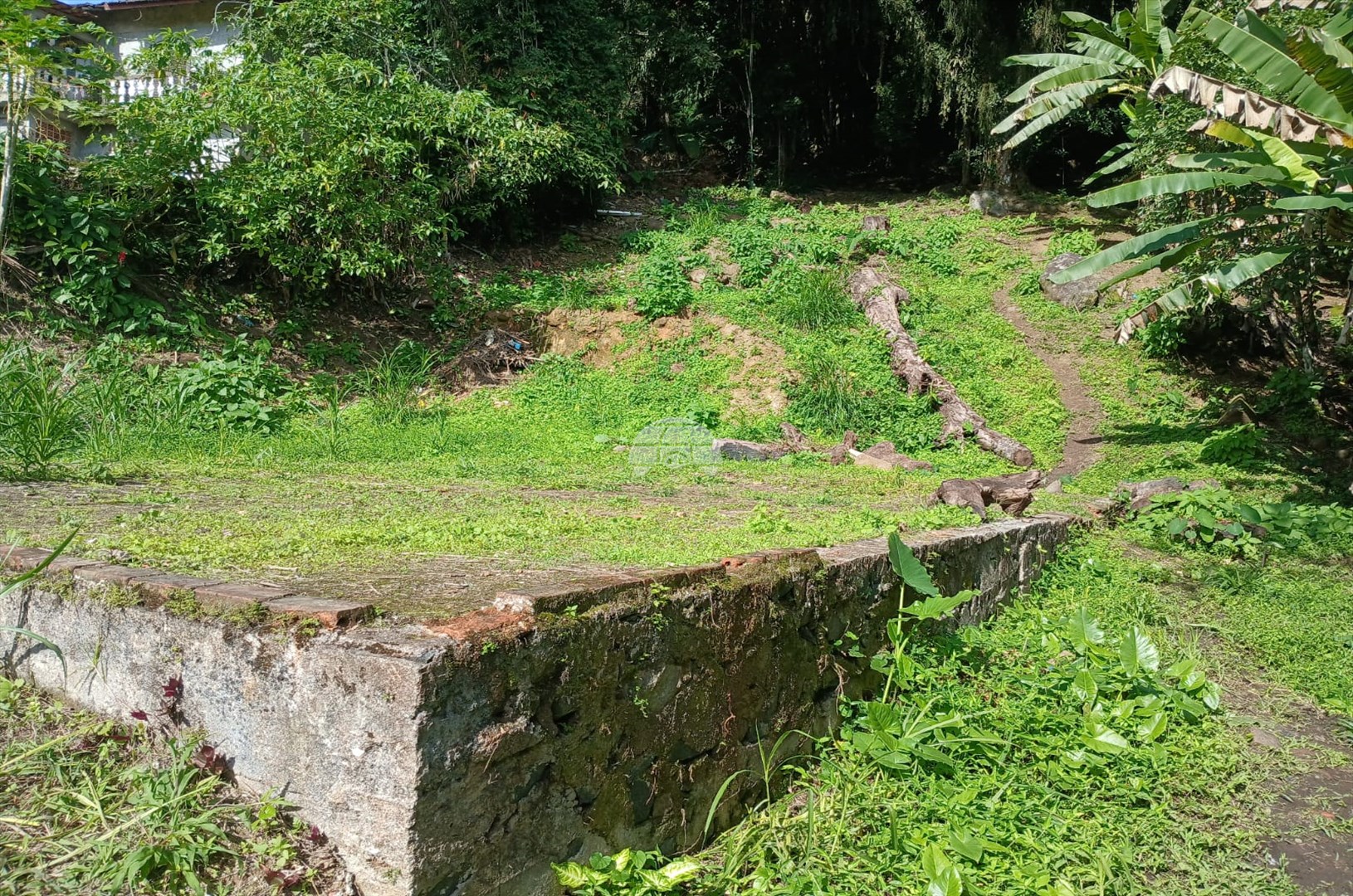 Terreno/Área à venda em Portinho De Cima, Antonina — Portal Chave Fácil