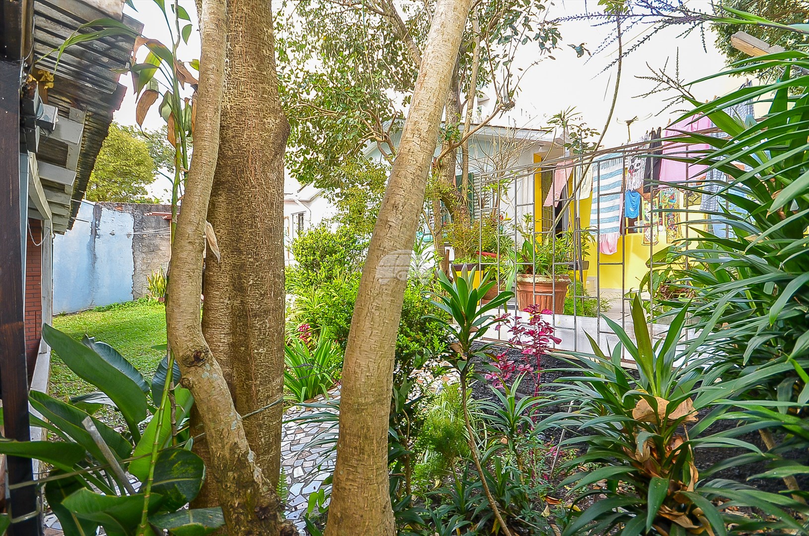 Terreno/Área à venda em Bacacheri, Curitiba — Kondor Imóveis: Imobiliária em Curitiba | Uma imobiliária pra você
