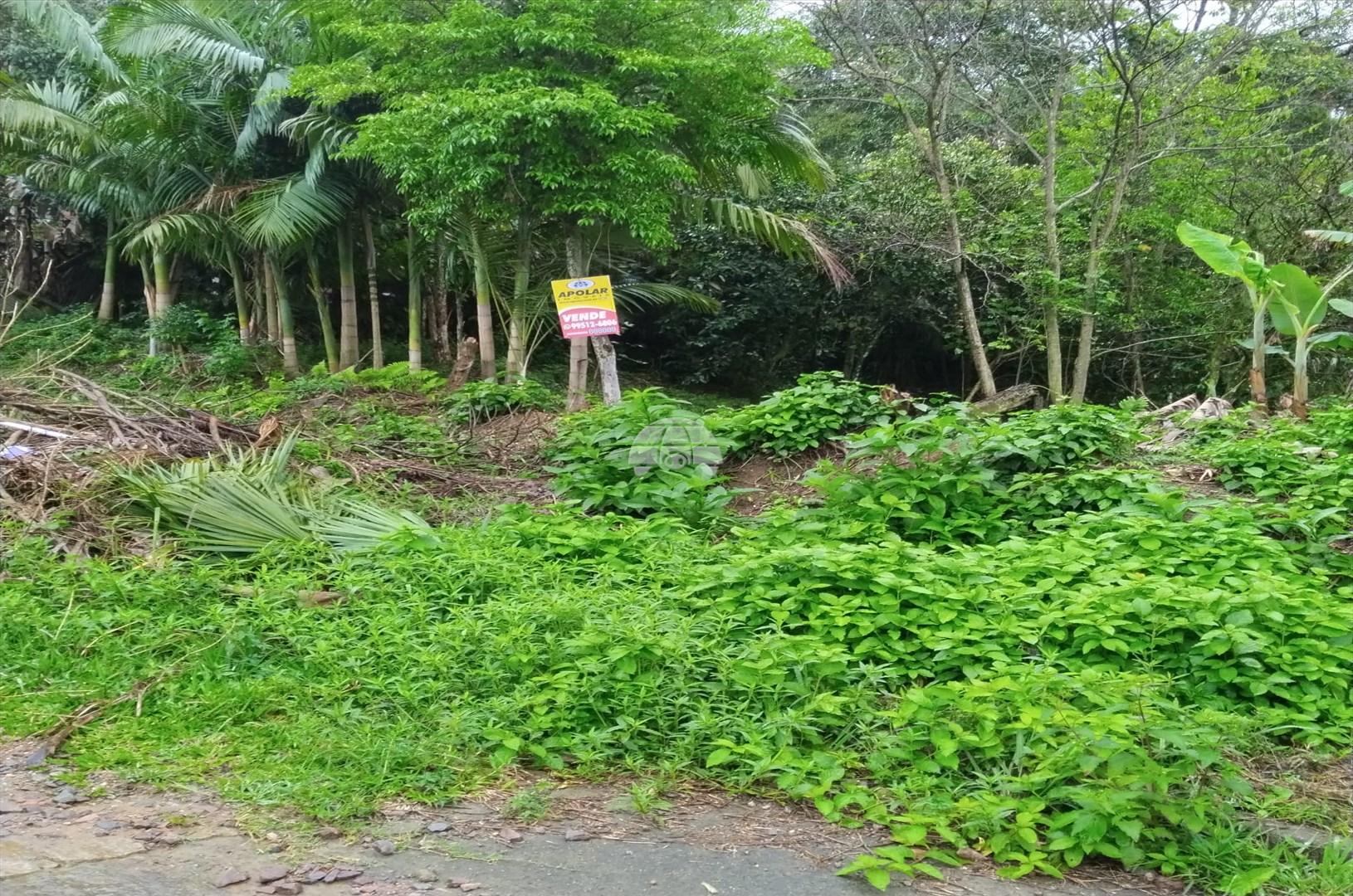 Terreno/Área à venda em Penha, Antonina — Portal Chave Fácil
