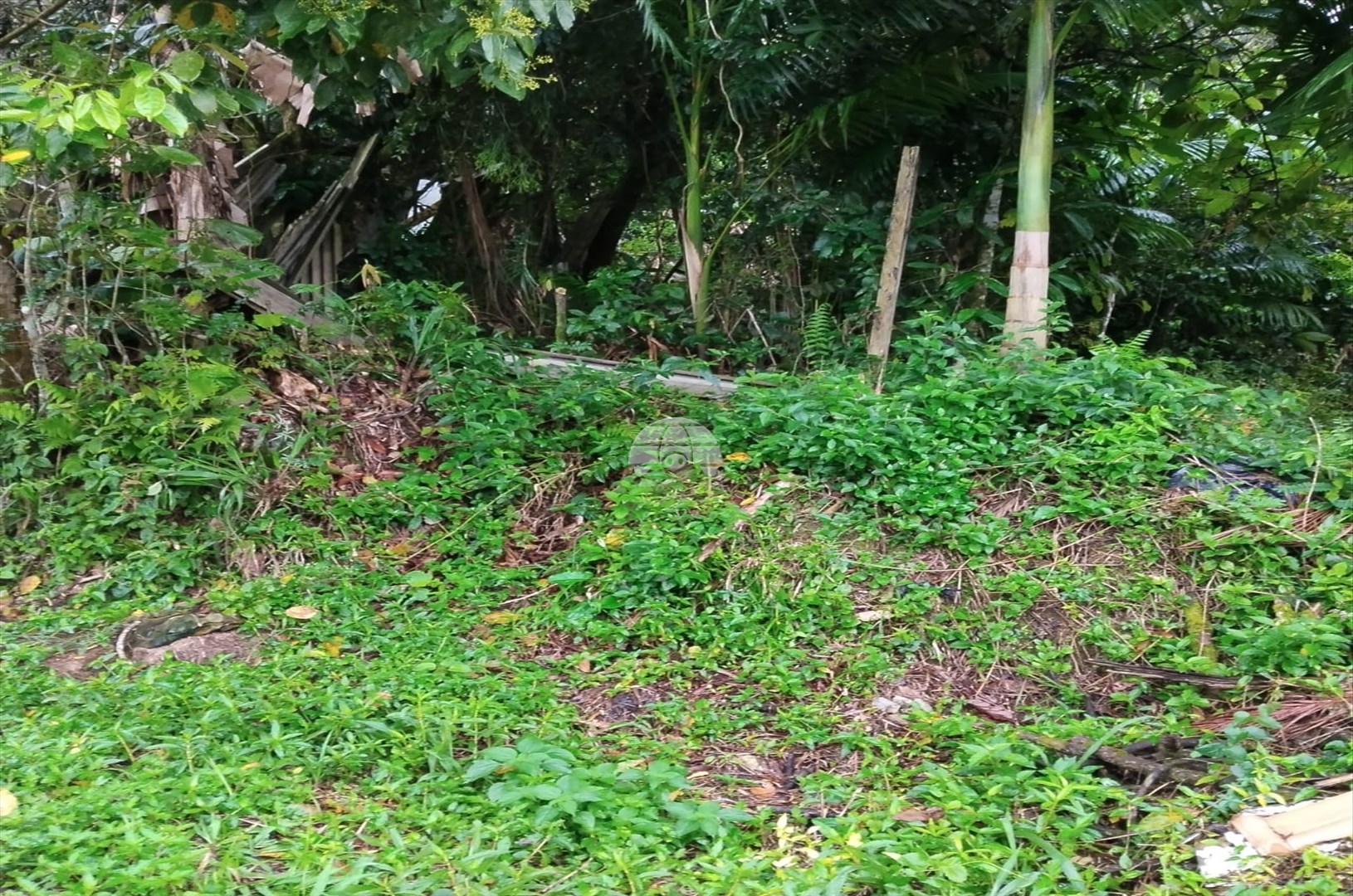 Terreno/Área à venda em Penha, Antonina — Portal Chave Fácil