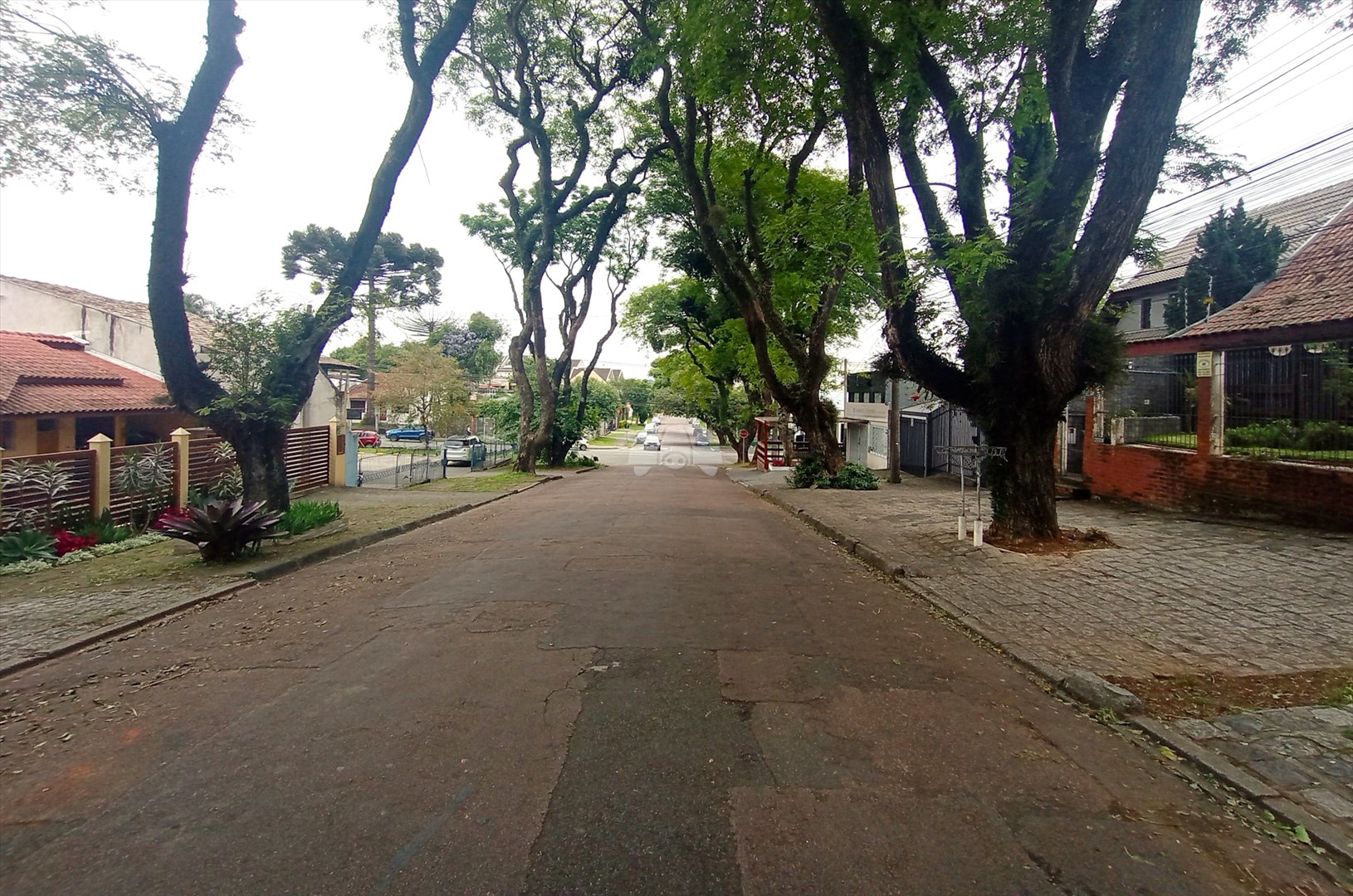 Terreno/Área à venda em Bigorrilho, Curitiba — Portal Chave Fácil