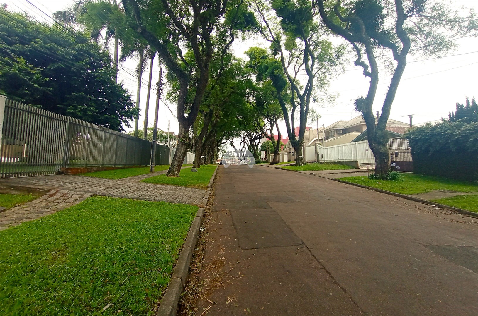 Terreno/Área à venda em Bigorrilho, Curitiba — Portal Chave Fácil