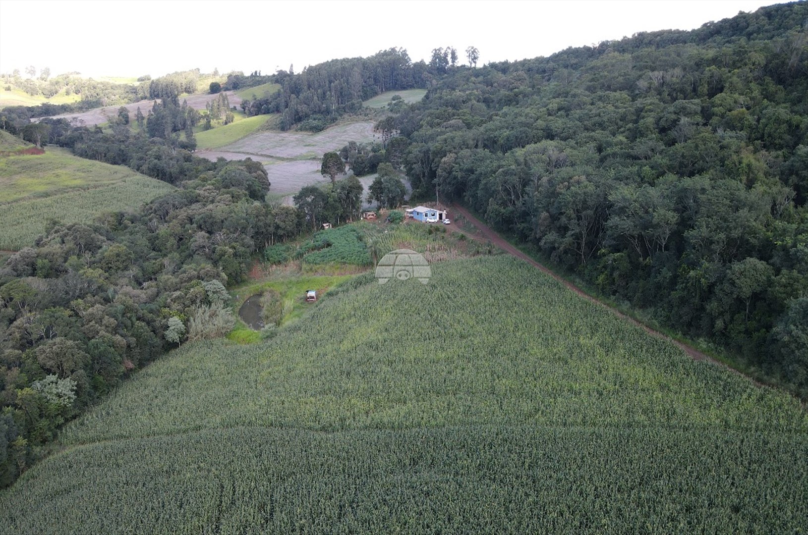 Chácara à venda em Zona Rural, Coronel Vivida — Portal Chave Fácil