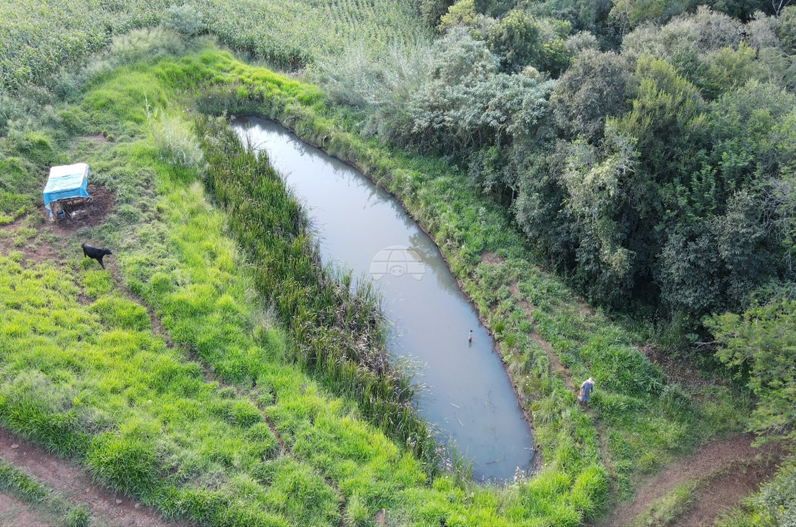 Chácara à venda em Zona Rural, Coronel Vivida — Portal Chave Fácil