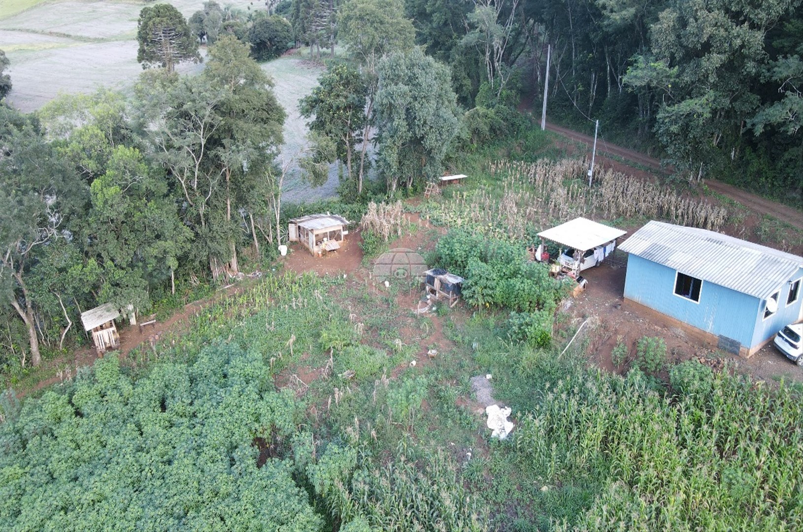 Chácara à venda em Zona Rural, Coronel Vivida — Portal Chave Fácil