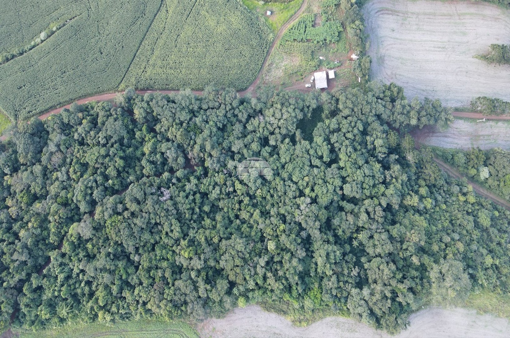 Chácara à venda em Zona Rural, Coronel Vivida — Portal Chave Fácil