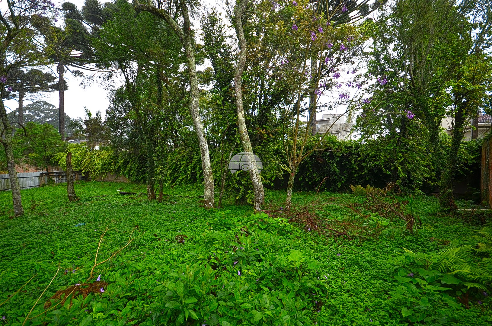 Terreno/Área à venda em Mossunguê, Curitiba — Portal Chave Fácil