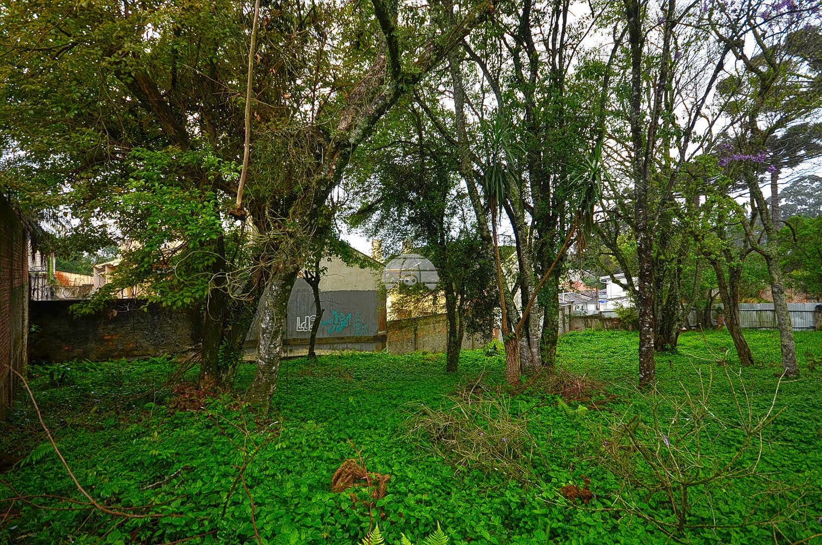Terreno/Área à venda em Mossunguê, Curitiba — Portal Chave Fácil