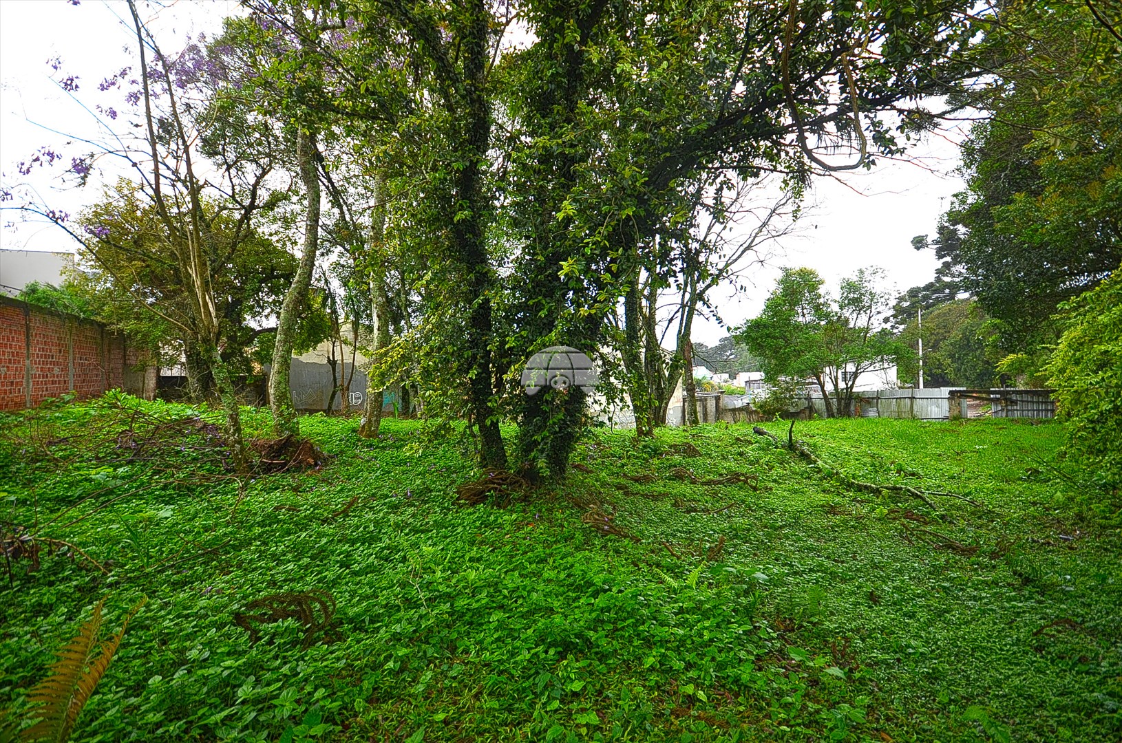 Terreno Comercial/Residencial para Venda no Bairro Mossunguê ref. 221998 (9 / 10)