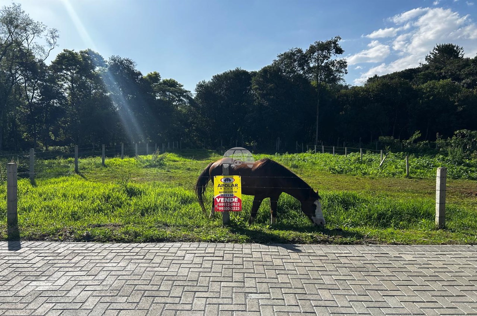 Terreno/Área à venda em Centro, Almirante Tamandaré — Portal Chave Fácil