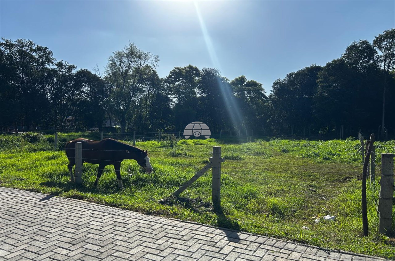 Terreno/Área à venda em Centro, Almirante Tamandaré — Portal Chave Fácil