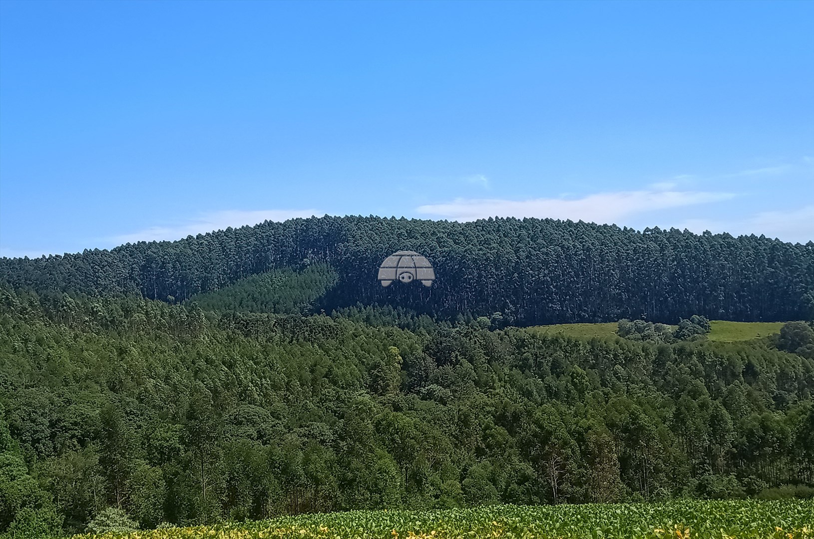 Terreno/Área à venda em Campinas Belas, Reserva — Portal Chave Fácil