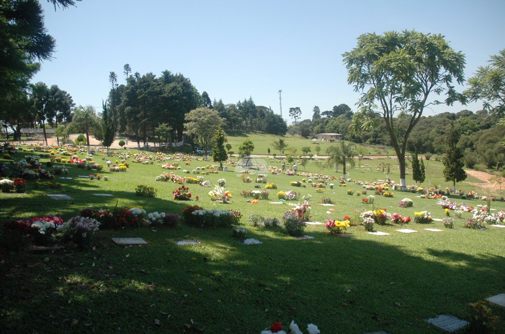 Terreno/Área à venda em Barreirinha, Curitiba — Portal Chave Fácil