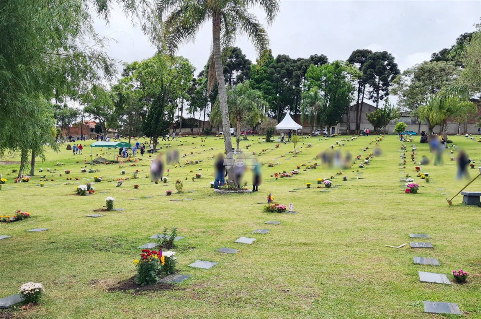Terreno/Área à venda em Barreirinha, Curitiba — Portal Chave Fácil