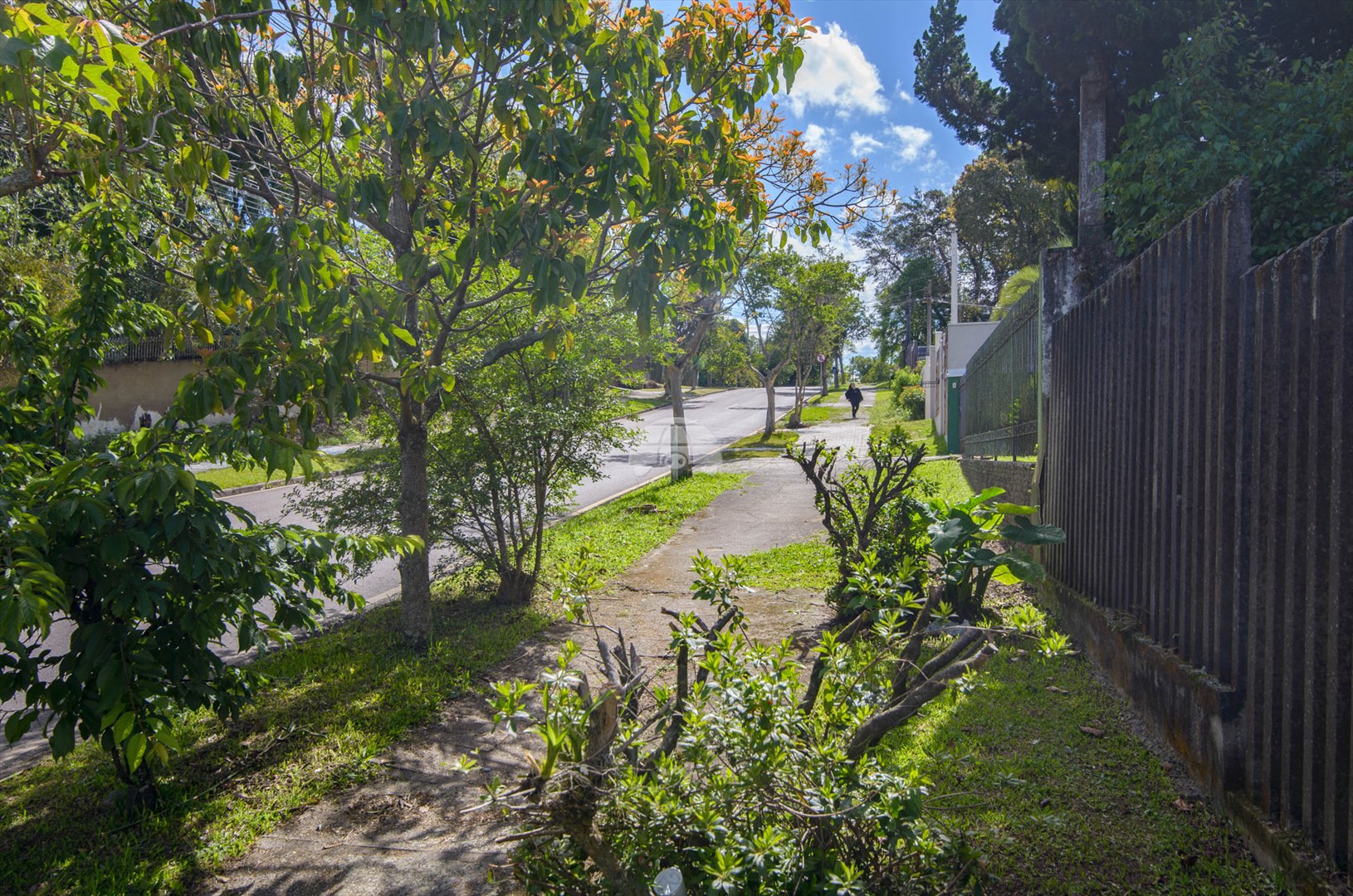 Terreno residencial à venda em Curitiba, Bom Retiro (9 / 10)