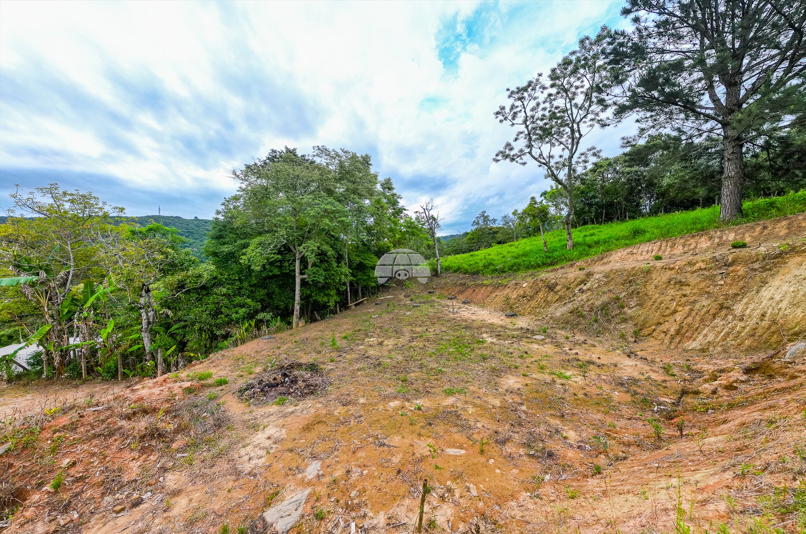 Terreno/Área à venda em Nova Serrinha, Balsa Nova — Portal Chave Fácil