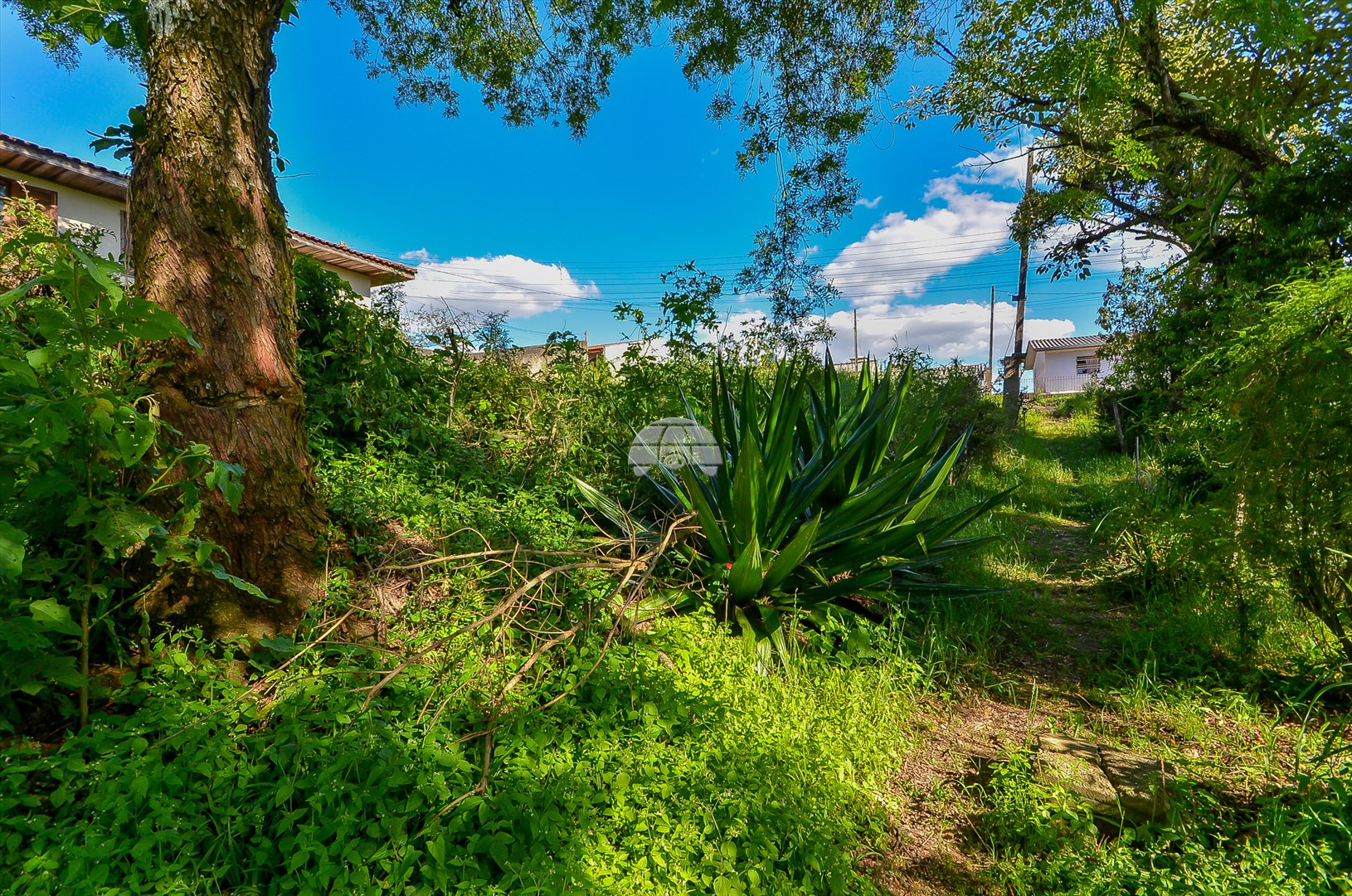 Terreno/Área à venda em Jardim Santa Fé, Almirante Tamandaré — Portal Chave Fácil