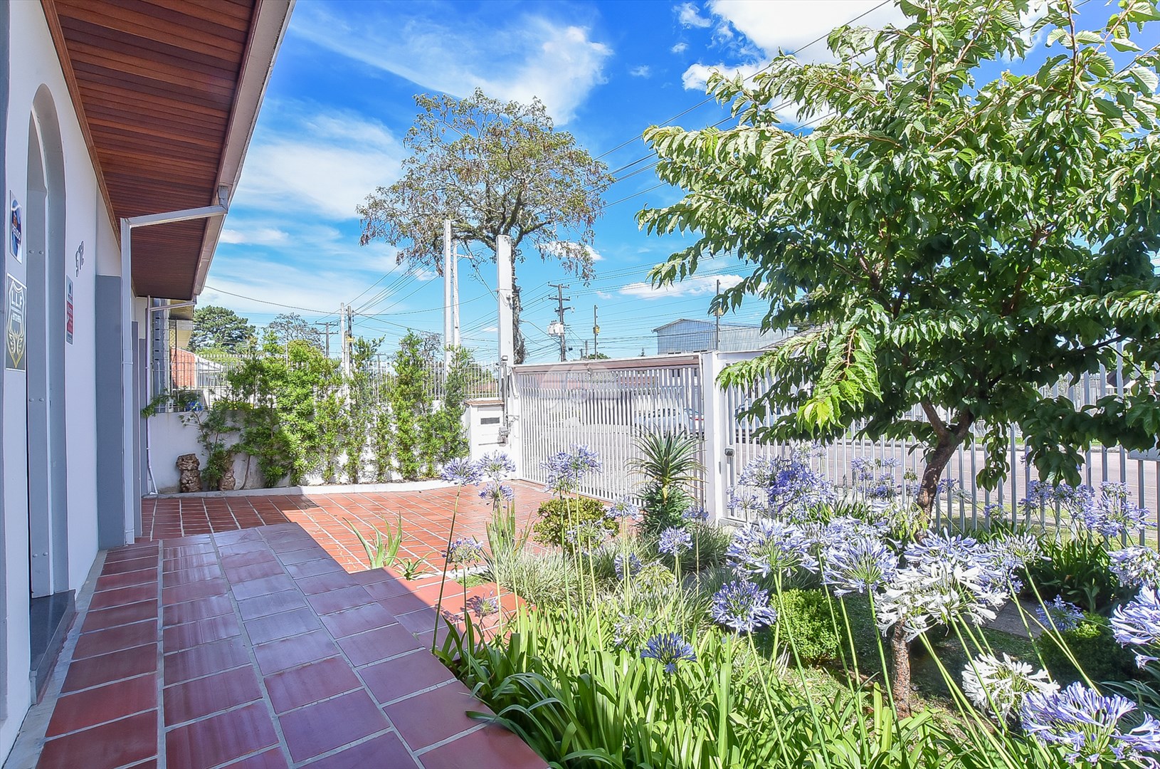 Casa Residencial para Venda no Bairro Parolin ref. 223556 (9 / 10)