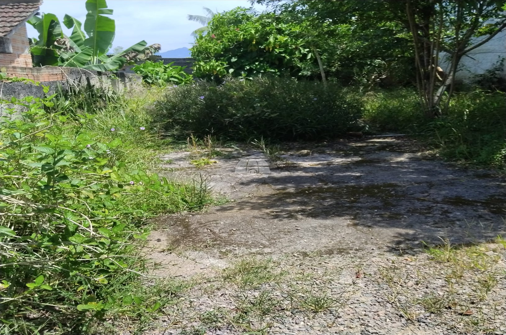 Terreno/Área à venda em Saiva, Antonina — Portal Chave Fácil