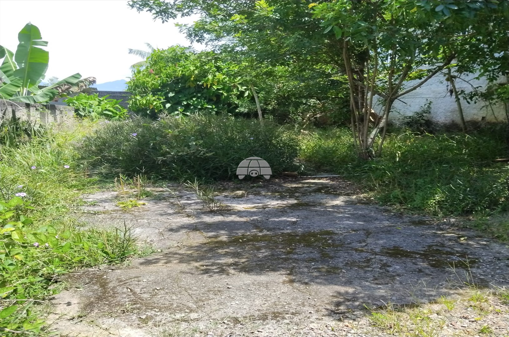 Terreno/Área à venda em Saiva, Antonina — Portal Chave Fácil