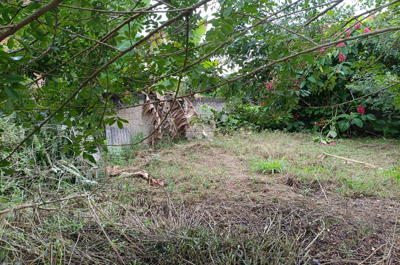 Terreno/Área à venda em Saiva, Antonina — Portal Chave Fácil