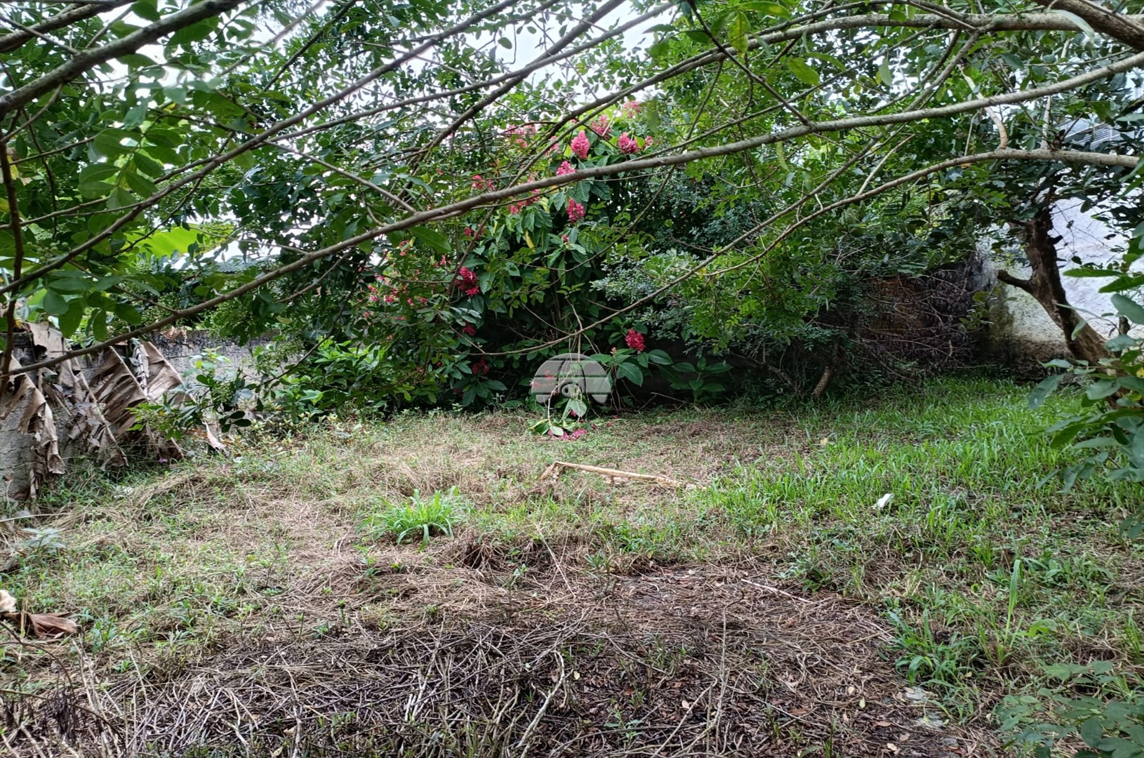 Terreno/Área à venda em Saiva, Antonina — Portal Chave Fácil