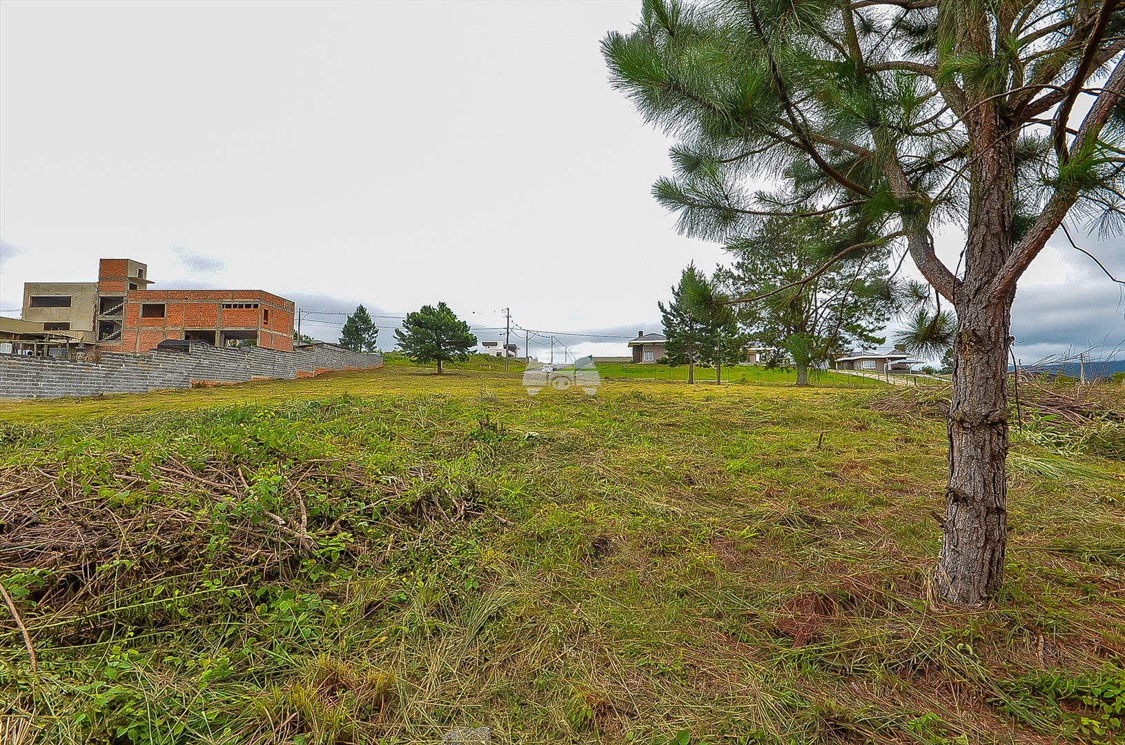 Terreno/Área à venda em Jardim Creplive, Quatro Barras — Portal Chave Fácil