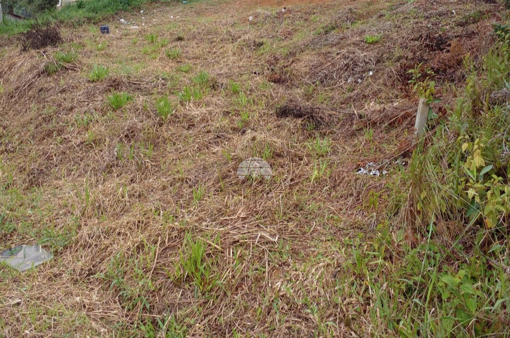 Terreno/Área à venda em Batel, Antonina — Portal Chave Fácil