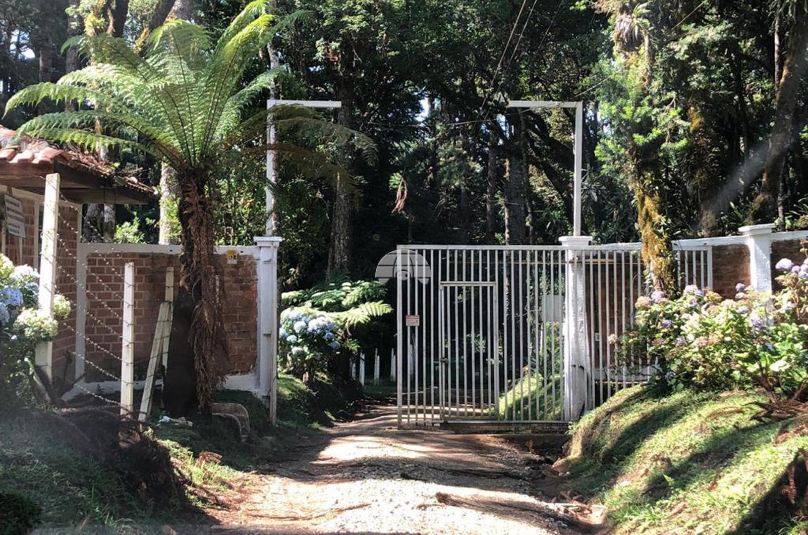 Fazenda à venda em Campininha, Quatro Barras — Portal Chave Fácil