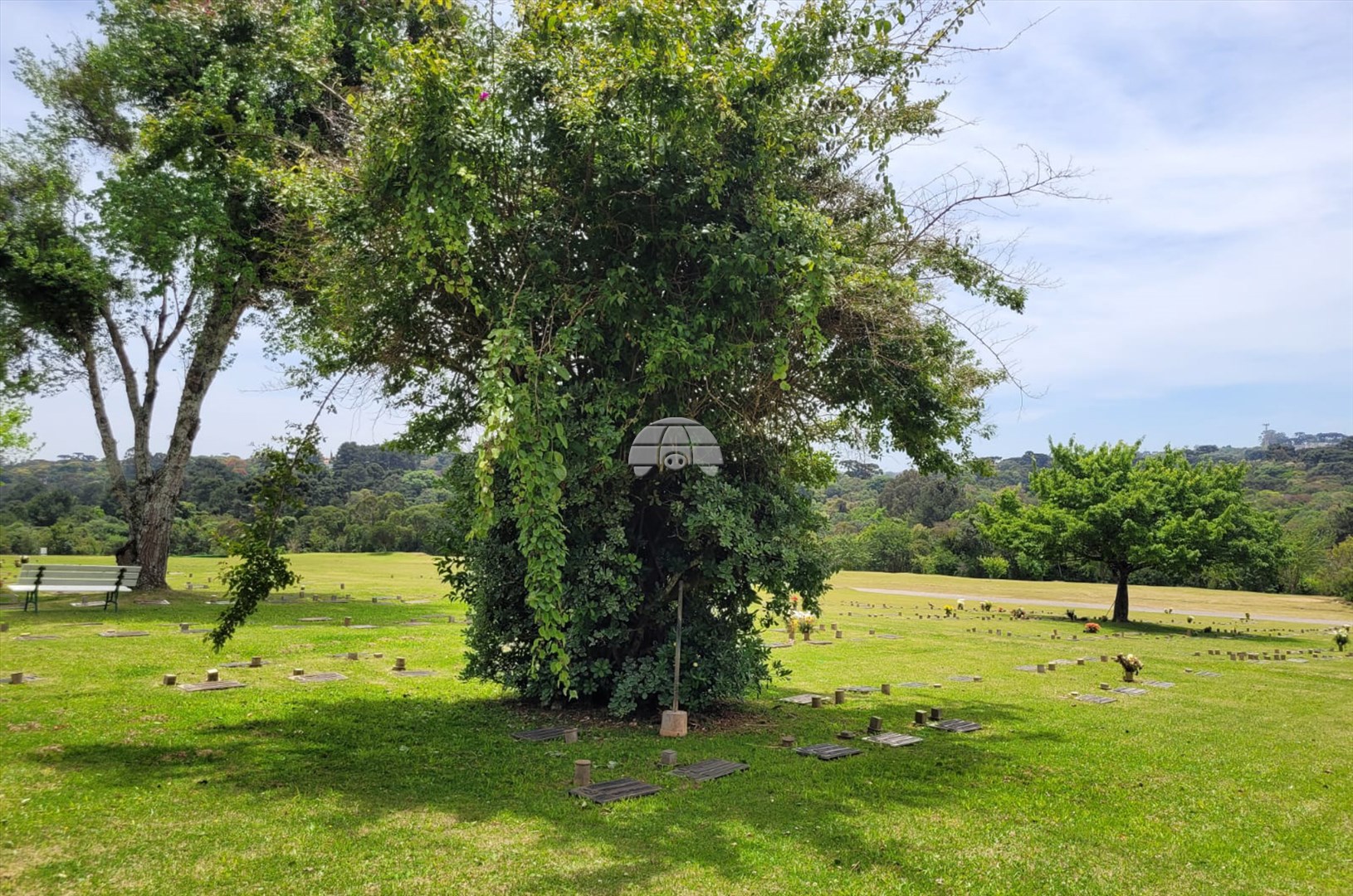 Terreno/Área à venda em Cascatinha, Curitiba — Portal Chave Fácil
