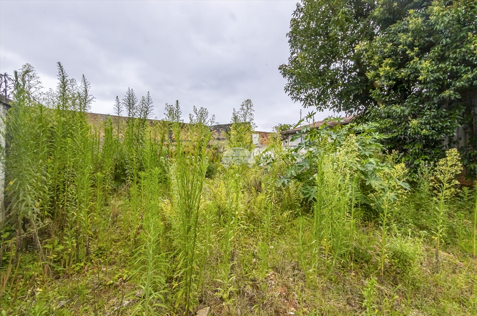 Terreno/Área à venda em Santa Quitéria, Curitiba — Toyo Imóveis - Curitiba/PR